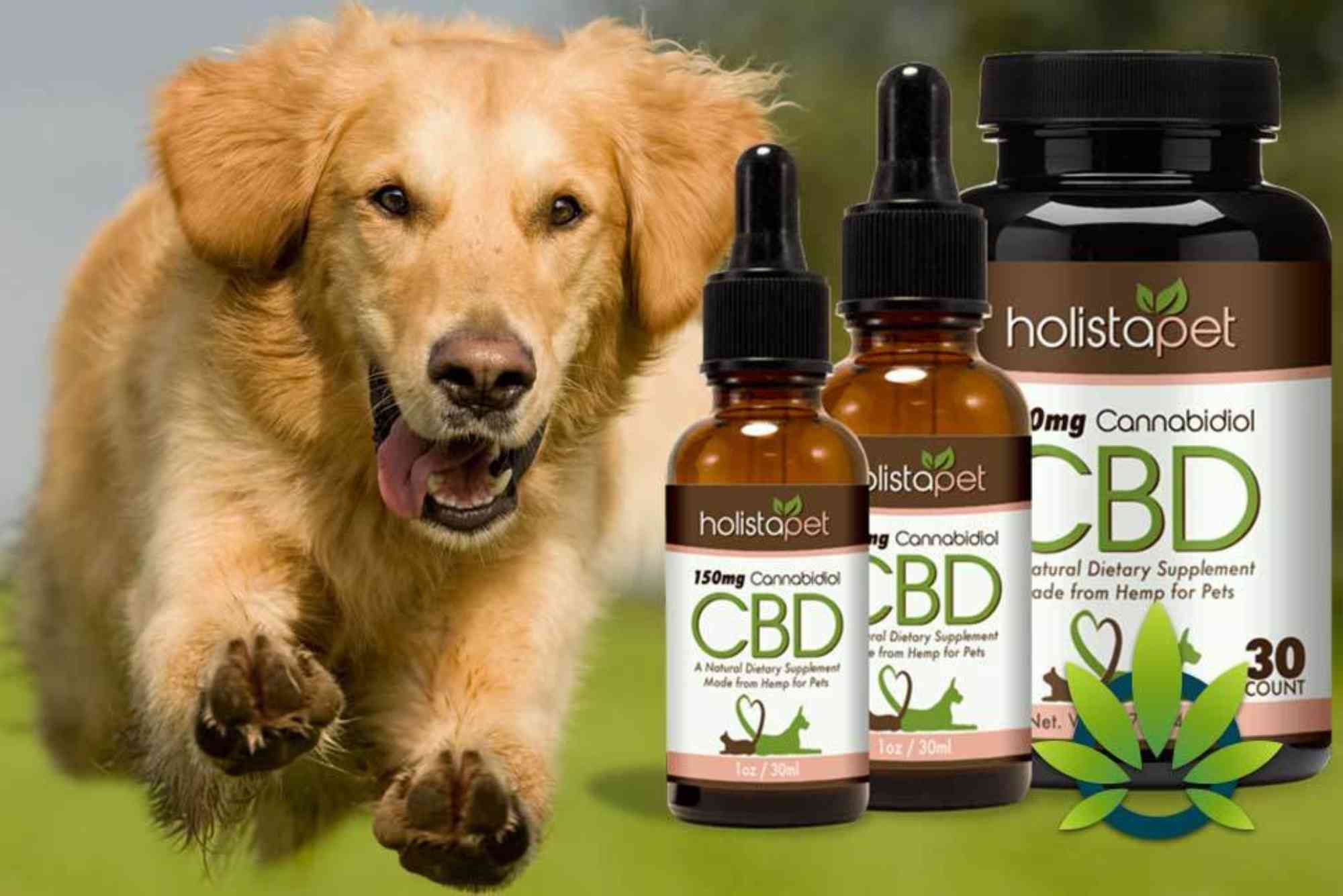 CBD for Pets UAE